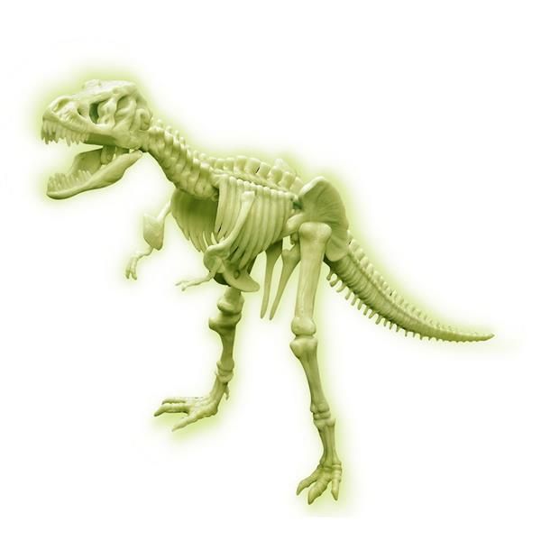 Світний скелет тиранозавра (набір для складання) 4M (00-03420) kidis_8487 фото