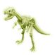 Світний скелет тиранозавра (набір для складання) 4M (00-03420) kidis_8487 фото 2