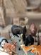 Набір реалістичних диких тварин в боксі Mideer Animal Set 1076 фото 4
