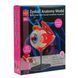 Модель очного яблука Edu-Toys збірна, 14 см (SK007) SK007 фото 5