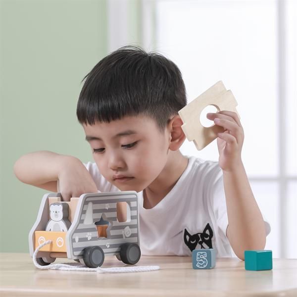 Дерев'яний сортер-каталка Viga Toys PolarB Вантажівка (44041) kidis_9099 фото
