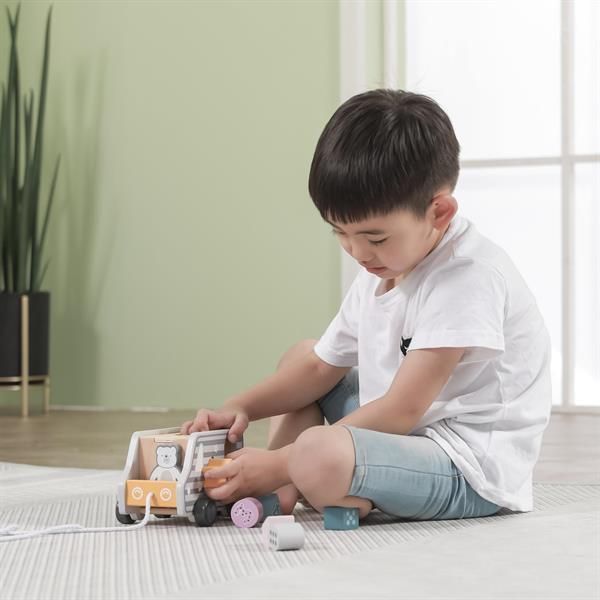 Дерев'яний сортер-каталка Viga Toys PolarB Вантажівка (44041) kidis_9099 фото