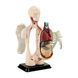 Модель тулуба людини Edu-Toys збірна, 12,7 см (SK008) SK008 фото 2