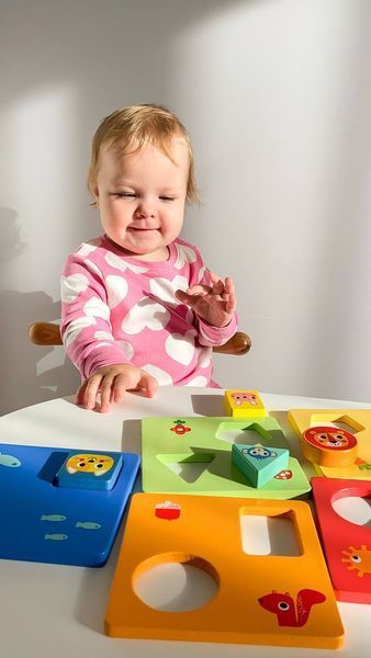 Логічна гра-сортер геометричні форми Tooky toy 100867 фото