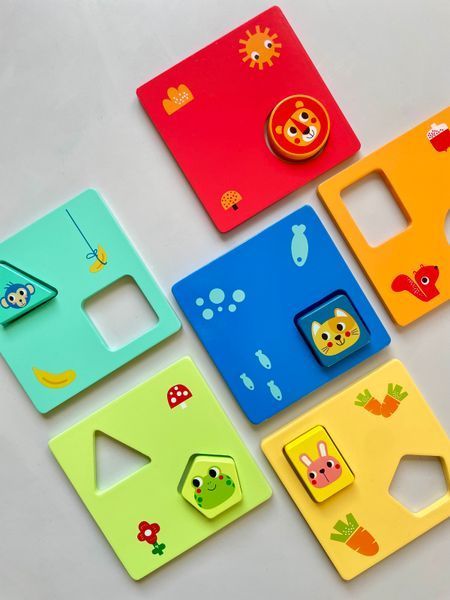 Логічна гра-сортер геометричні форми Tooky toy 100867 фото