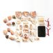 Модель черепа з нервами Edu-Toys збірна, 9 см (SK010) SK010 фото 3