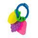 Прорізувач для зубов Lamaze Фрукти в асорт. (L23025) L23025 фото 5