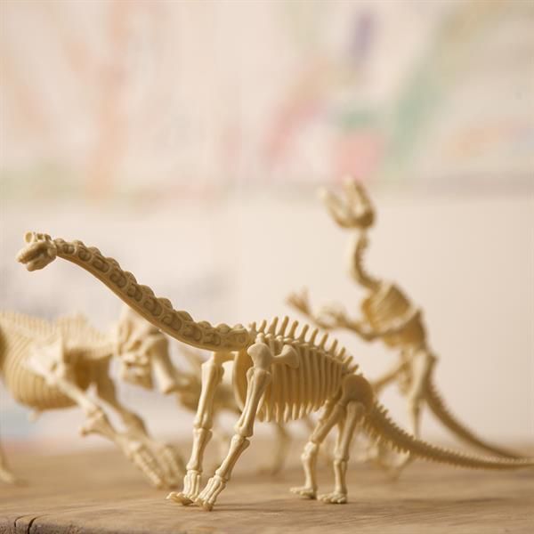 Набір для розкопок 4M Скелет брахіозавра (00-03237) kidis_9373 фото