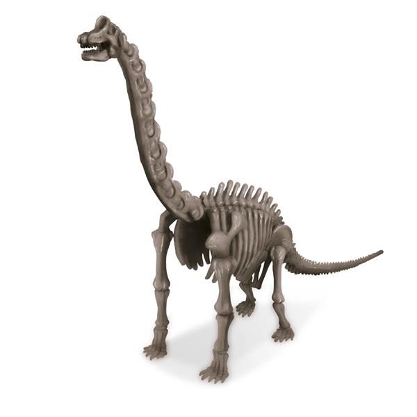 Набір для розкопок 4M Скелет брахіозавра (00-03237) kidis_9373 фото