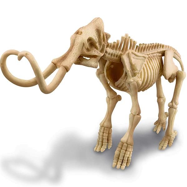 Набір для розкопок 4M Скелет мамонта (00-03236) kidis_9370 фото
