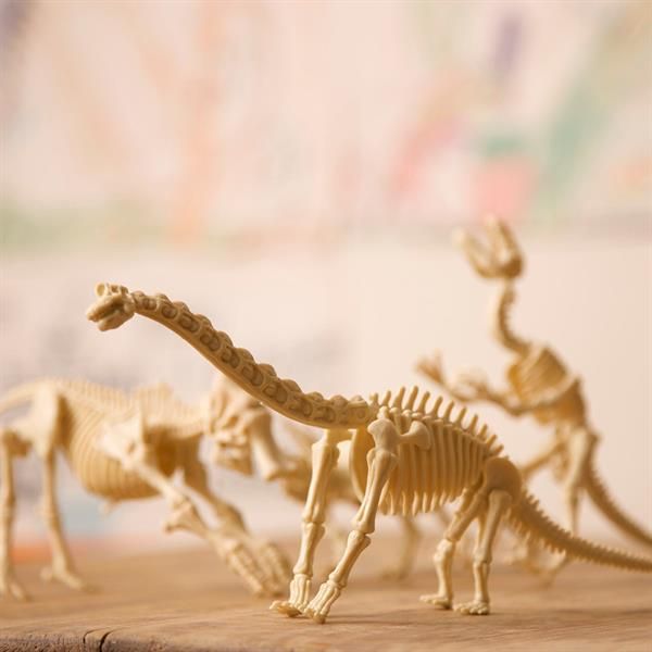 Набір для розкопок 4M Скелет стегозавра (00-03229) kidis_9372 фото