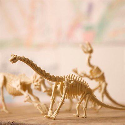 Набір для розкопок 4M Скелет тиранозавра (00-03221) kidis_9371 фото