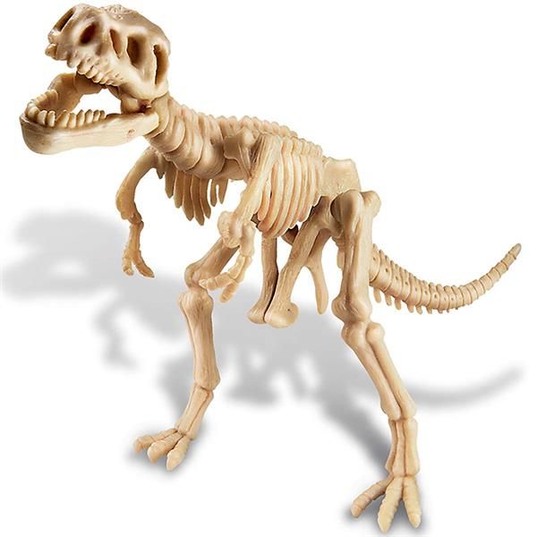Набір для розкопок 4M Скелет тиранозавра (00-03221) kidis_9371 фото