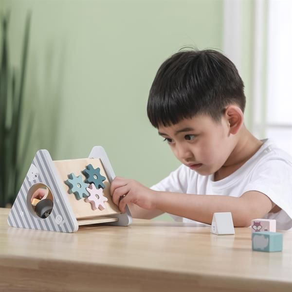 Дерев'яний сортер Viga Toys PolarB Розвиток 5 в 1 (44007) kidis_2452 фото